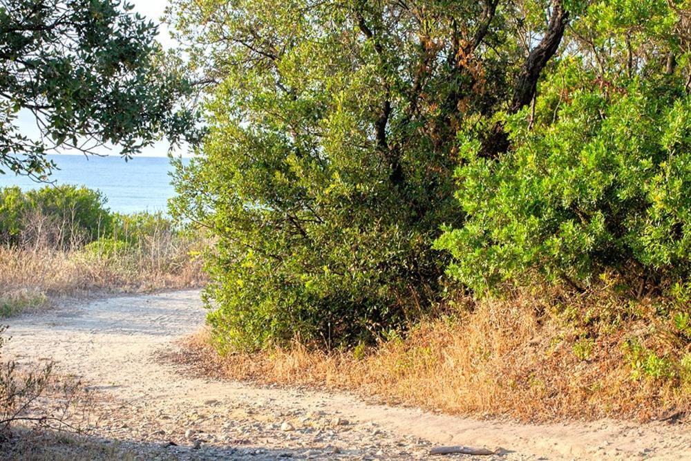 Bagheera Village Naturiste Linguizzetta 外观 照片